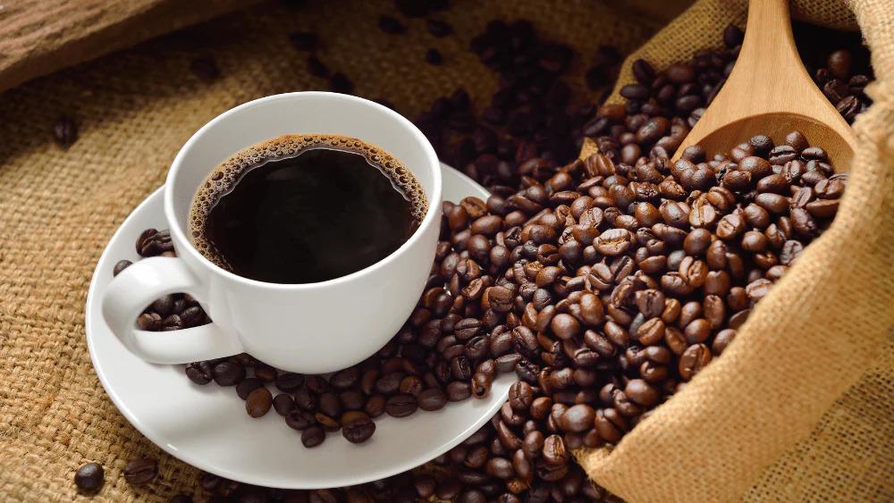 My fuel source